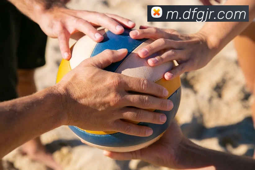 巅峰国际平台生态图