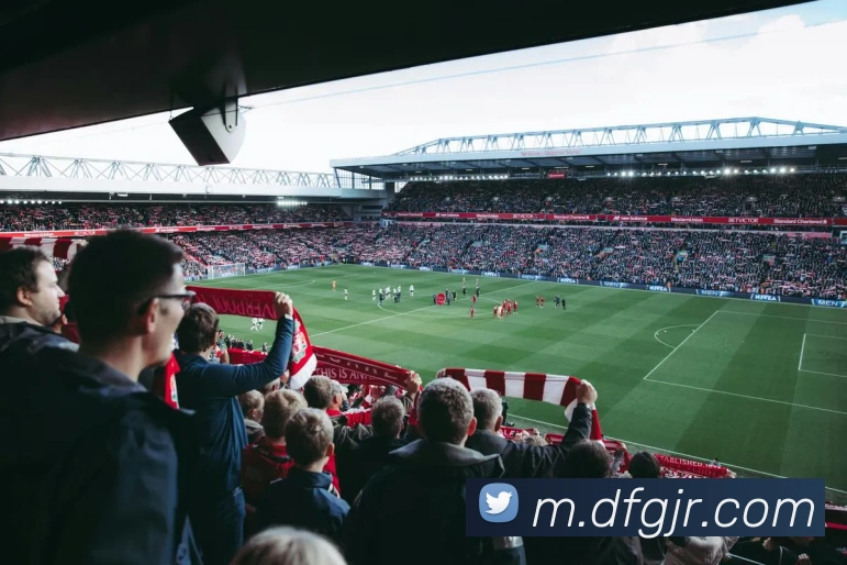 巅峰国际全站App